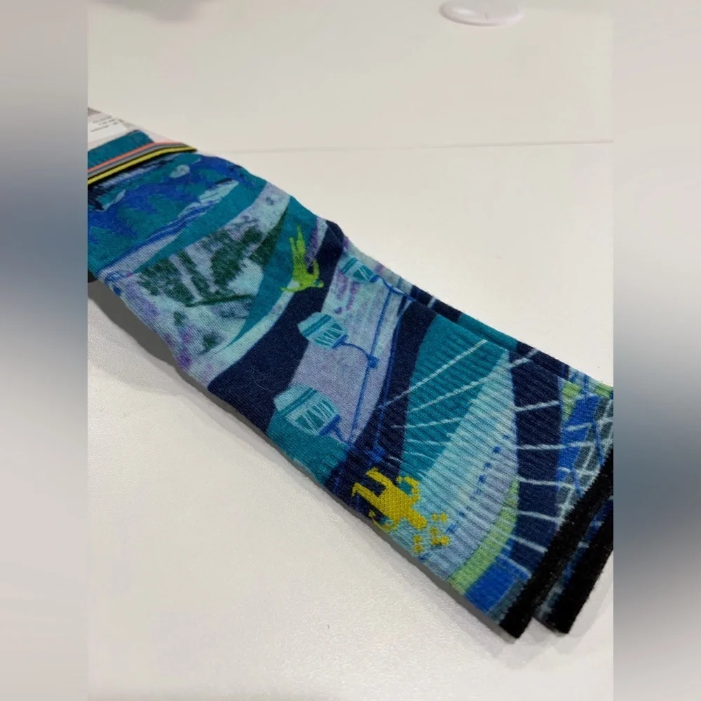 SmartWool Women's Small Ski Zero Cushion Town Print Socks Merino Wool NWT Blue